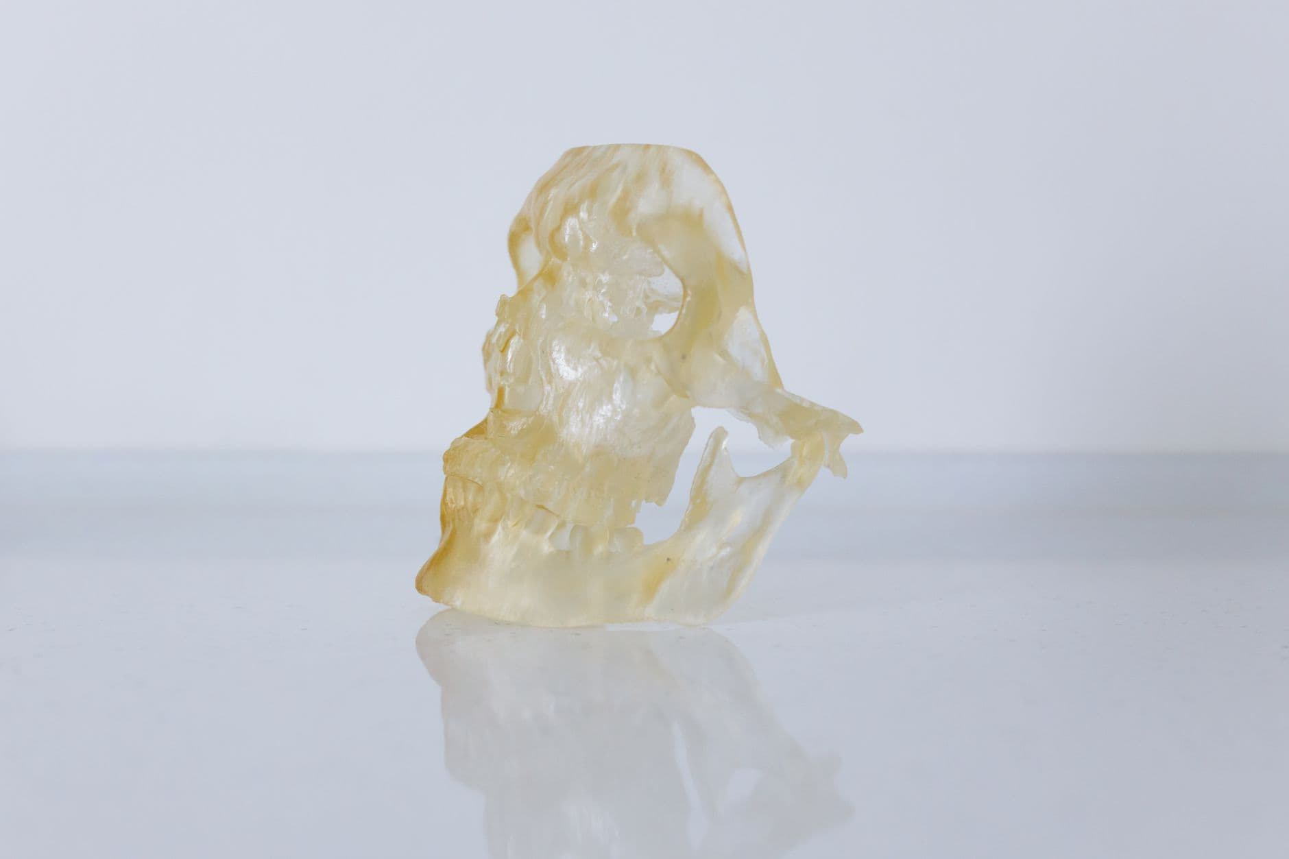 A translucent amber resin-printed skull on a glossy white surface